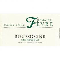 Domiane Fevre - Bourgogne Blanc 2022 (750ml) (750ml)