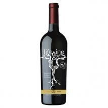 Lifevine - Cabernet Sauvignon 2021 (750ml) (750ml)
